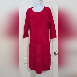 Elegant Red Sweater Dress